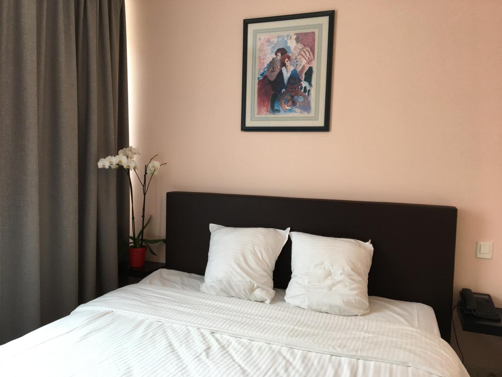 布鲁塞尔斯利纳酒店 Sint-Jans-Molenbeek 外观 照片